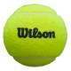 Bote de 3 Pelotas Wilson Padel Premier