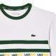 Camiseta Lacoste Ultra Dry Verde Blanco